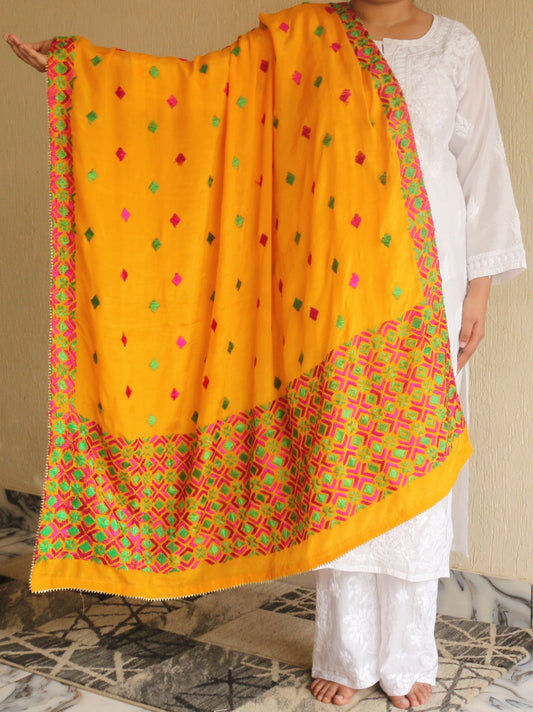 Phulkari Pure Chinon Dupatta Hand Embroidered-NS292